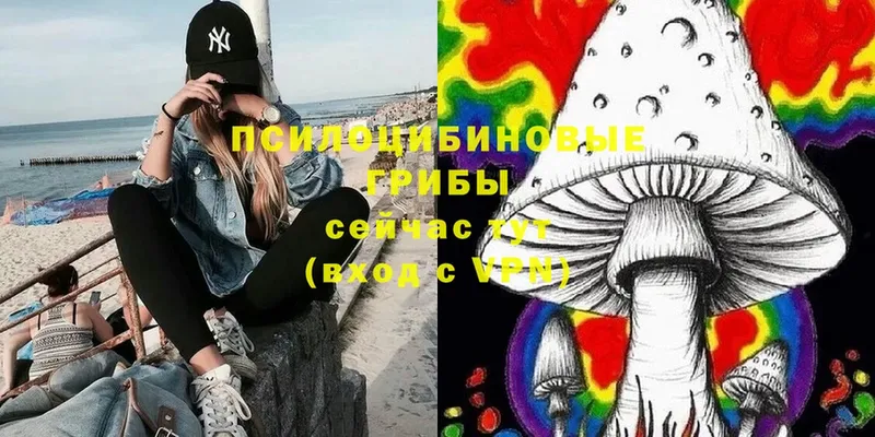 Псилоцибиновые грибы Magic Shrooms  Туринск 